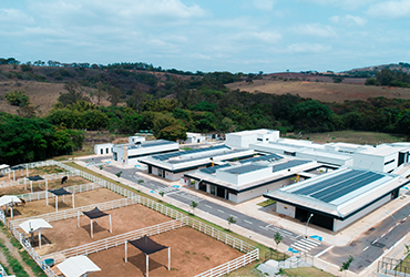 Banner bloco 03 – 01 – veterinaria